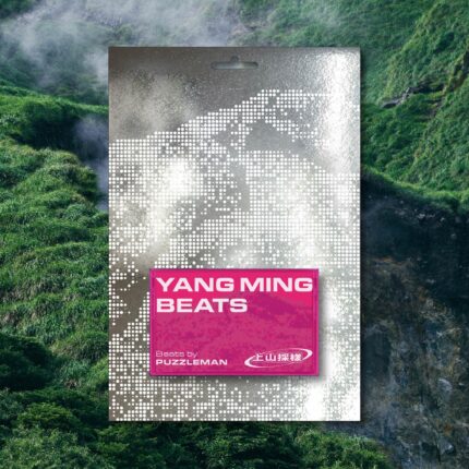 PUZZLEMAN 專輯《上山採樣：YANG MING BEATS》